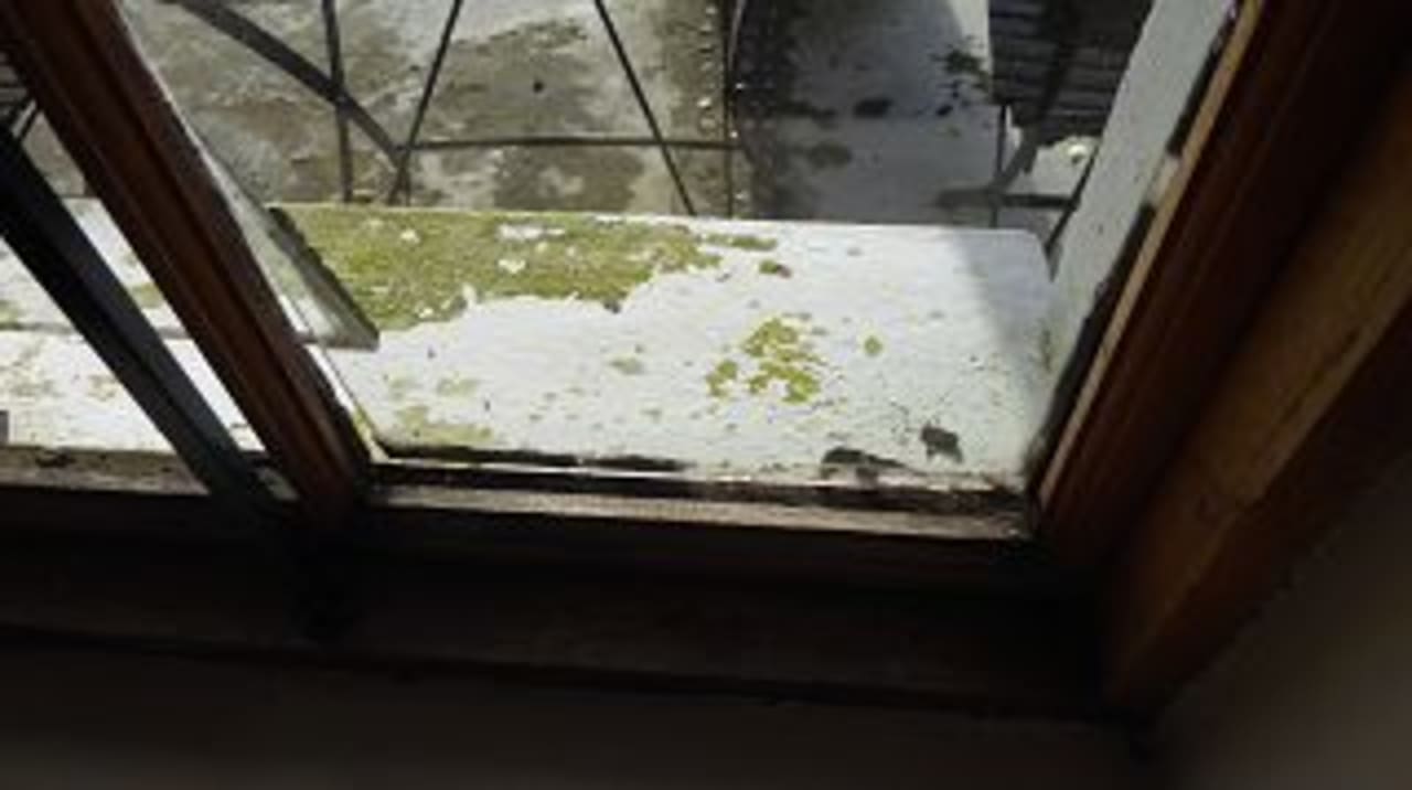 Zimmer Guesthouse The Thorntree Country House