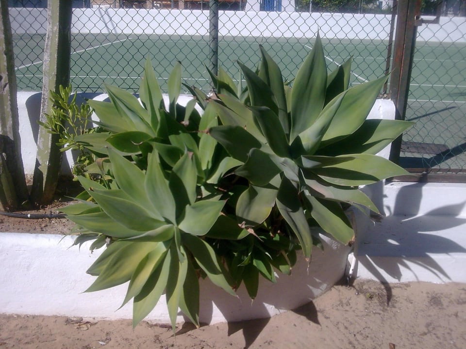 Am Sportplatz Hotel Osiris