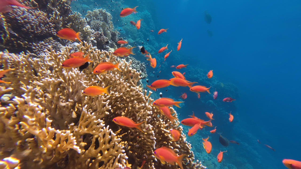 Sport & Freizeit Casa Mare Resort