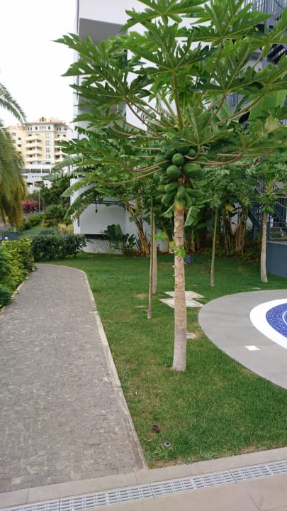 Sonstiges Hotel Baia Azul