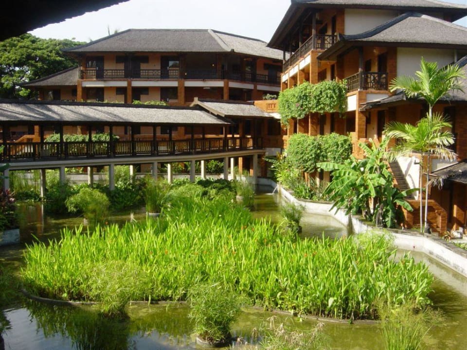 Clubanlage und Zimmer Club Med Bali