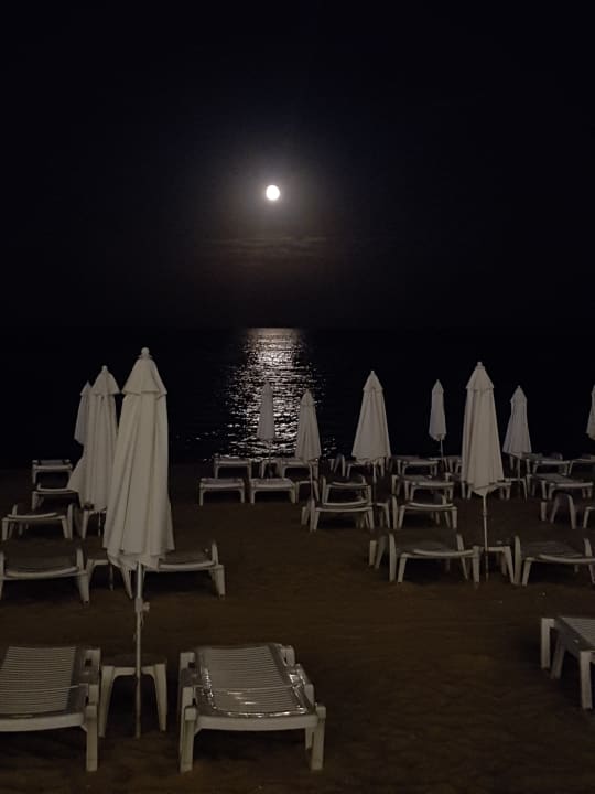 Strand Sentido Marea