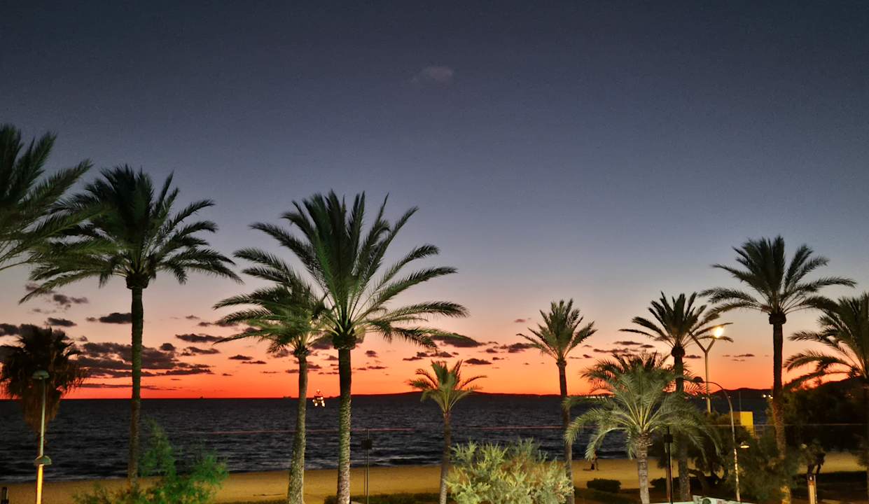Ausblick allsun Hotel Pil-lari Playa