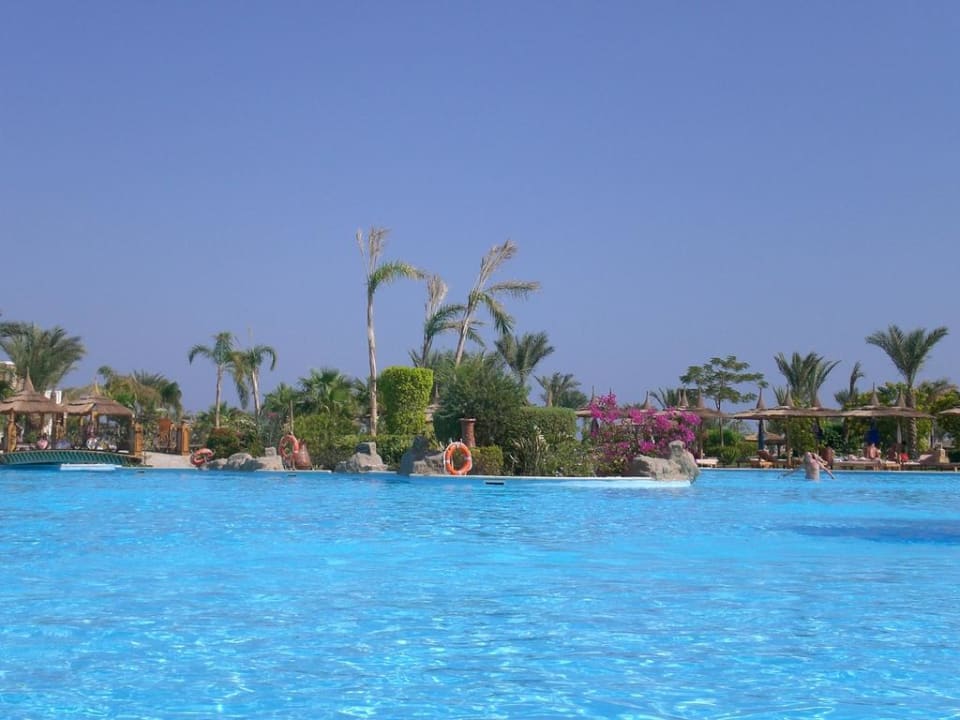 Pool Pickalbatros Palace Resort