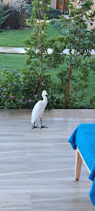 Gartenanlage Shams Prestige Abu Soma-Adults Only