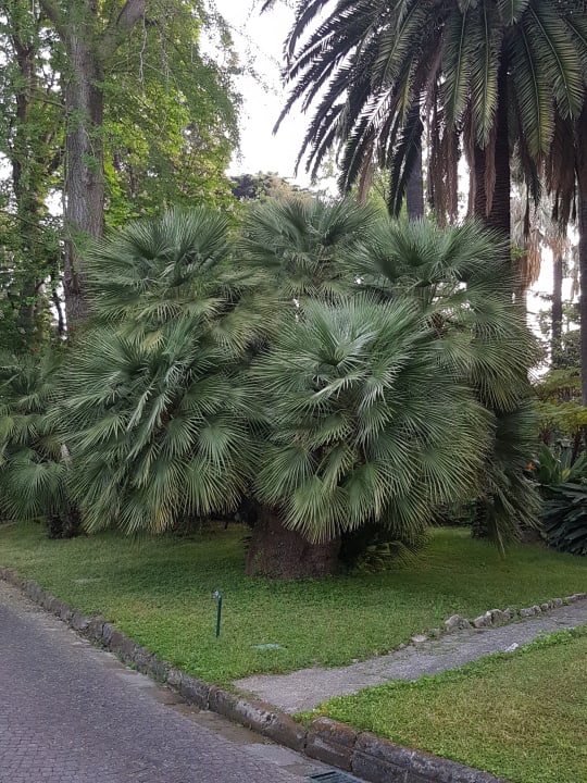 Gartenanlage Hotel La Residenza