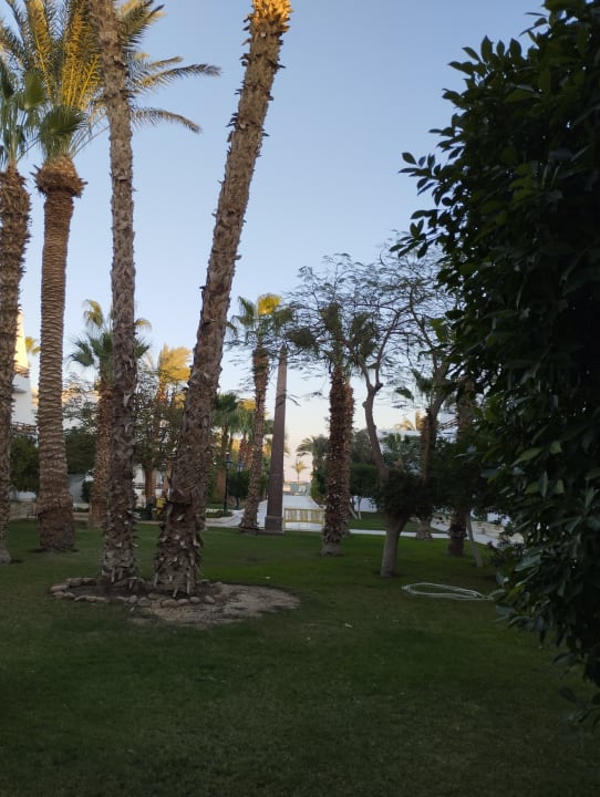 Gartenanlage The Grand Hotel Hurghada