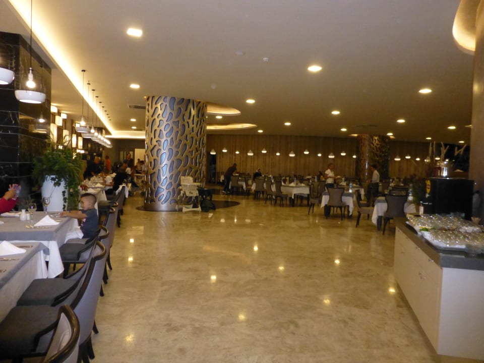 Gastro Royal Seginus