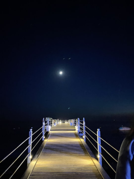 Strand TUI BLUE Palm Garden
