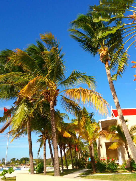 Gartenanlage Hotel Villas Caroline