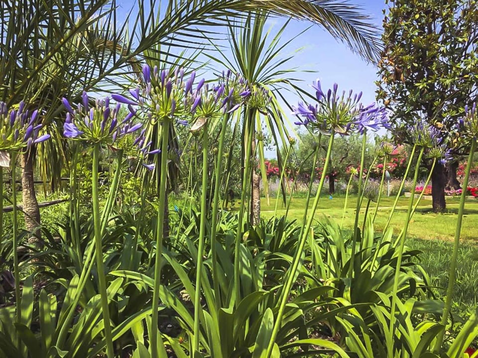 Gartenanlage Agricampeggio Oasi del Garda