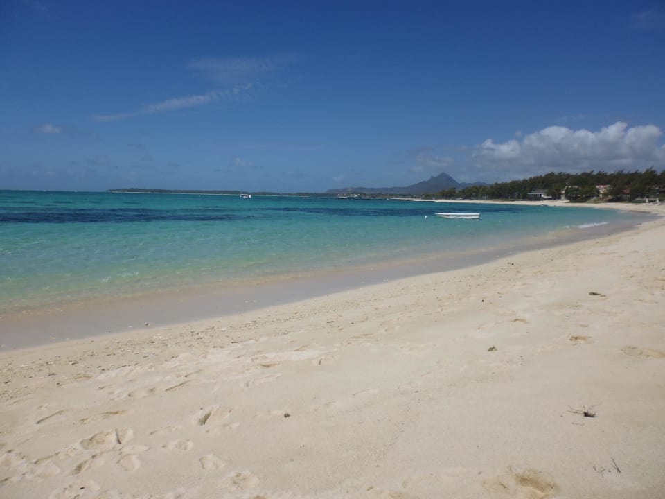 Strand Friday Attitude