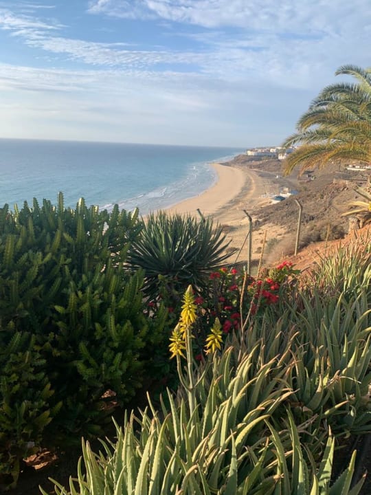 Ausblick ROBINSON ESQUINZO PLAYA