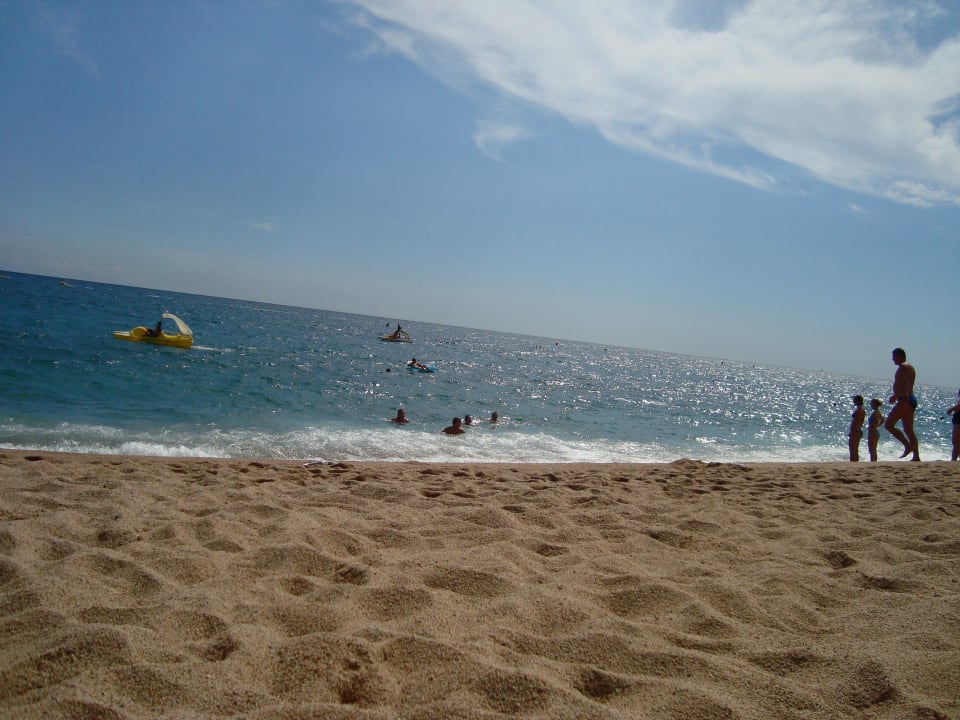 Strand htop Amaika | Adults Only
