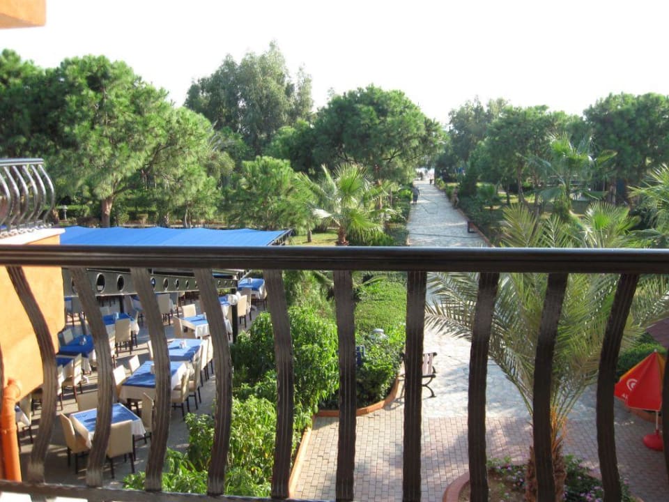 Ausblick aus meinem Zimmer Club Turtas Beach Hotel