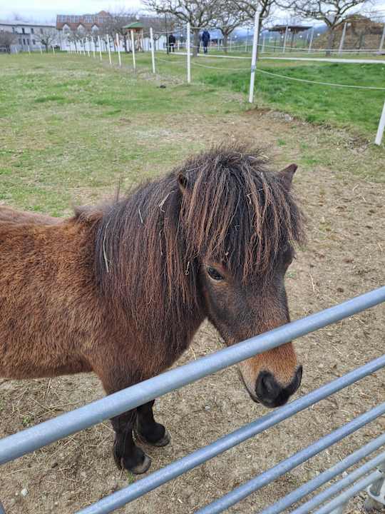 Sonstiges Reiters Finest Family Hotel