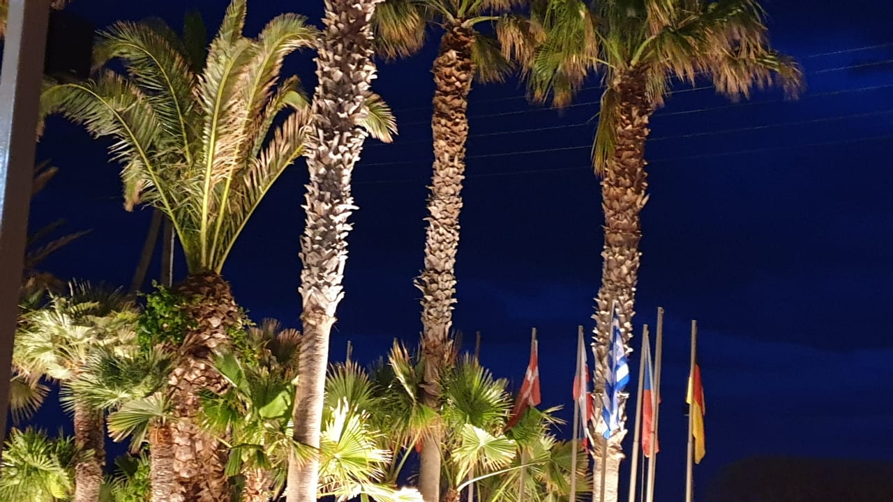 Gartenanlage Tylissos Beach Hotel