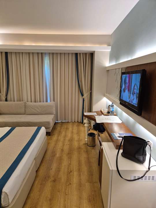 Zimmer Seashell Vega