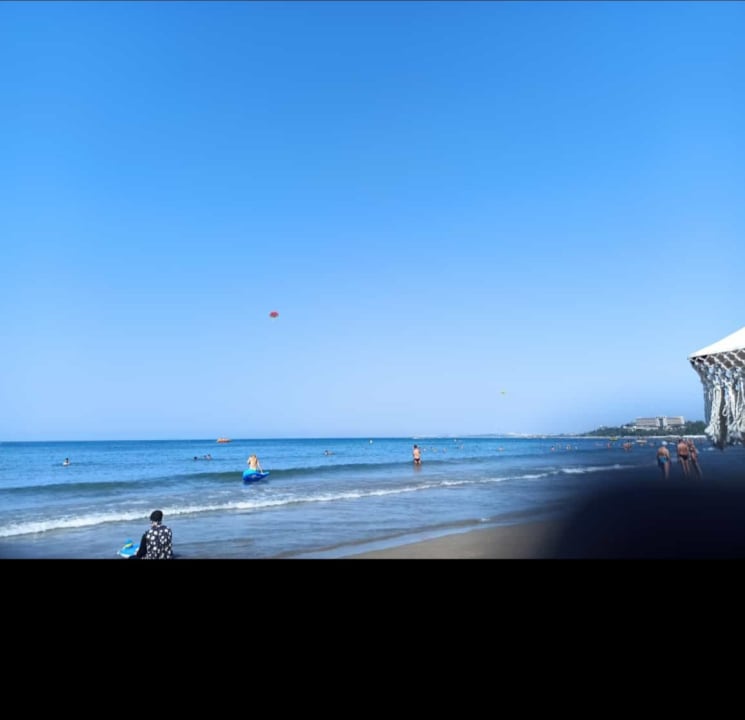 Strand Clover Magic Nova Beach