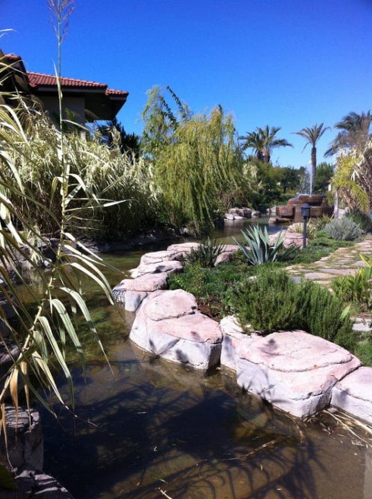 Bächlein TUI BLUE Palm Garden