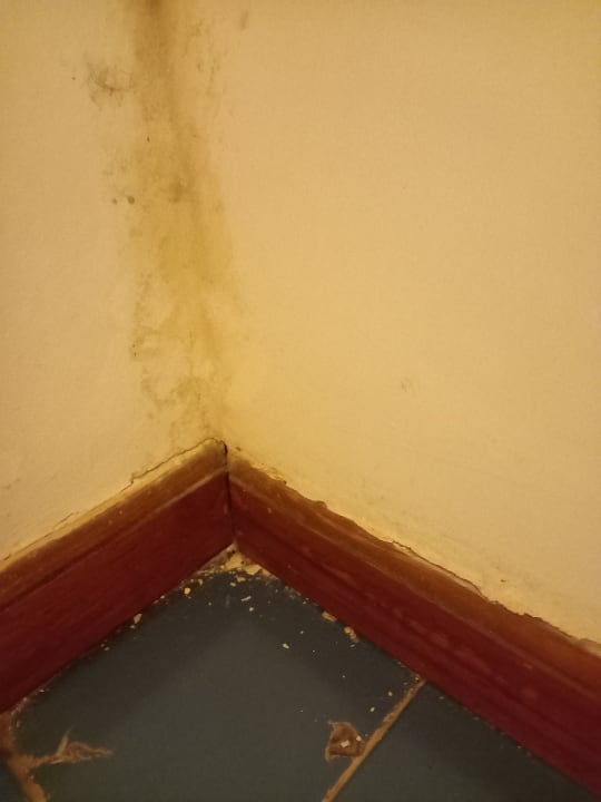 Zimmer Aparthotel Costa Mar