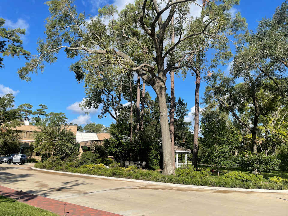 Außenansicht Houstonian Hotel Club And Spa