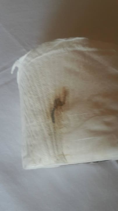 Unzumutbare Toliettenrolle Casa Mare Resort