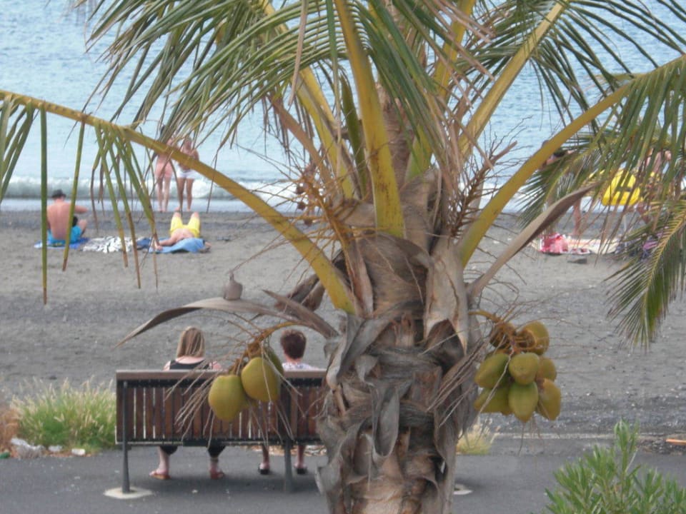 Blick aus Zimmer R2 Bahía Playa Design Hotel & Spa - Adults Only