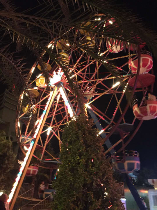 Luna-Park Royal Taj Mahal Hotel