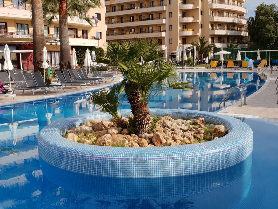 Pool allsun App.-Hotel Orient Beach