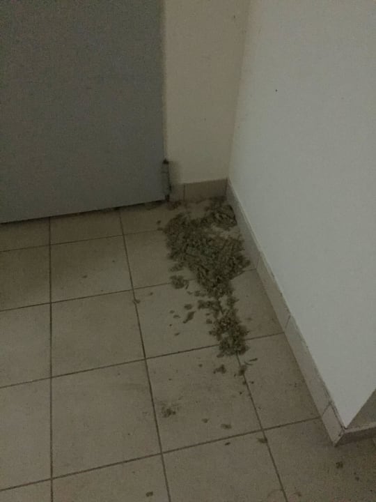 Treppenhaus Natura Park Village Hotel & Spa