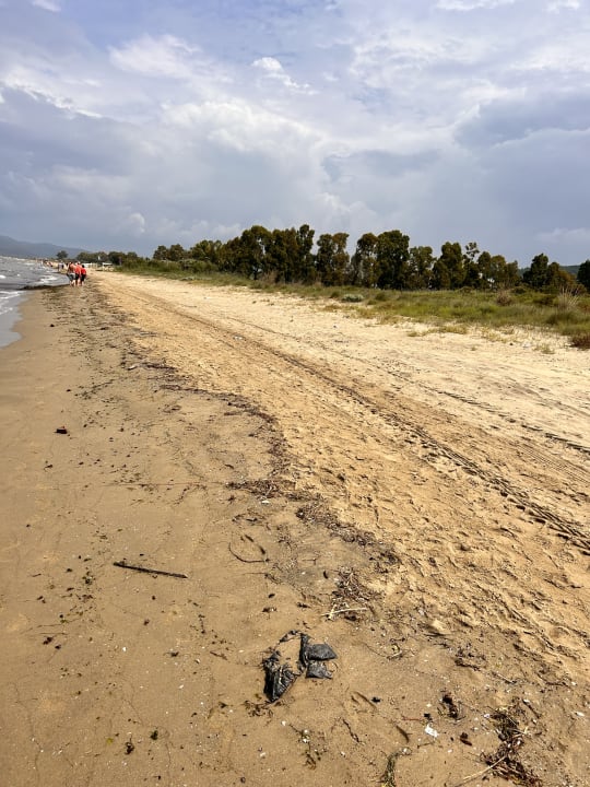 Strand Korumar Ephesus Beach & Spa Resort