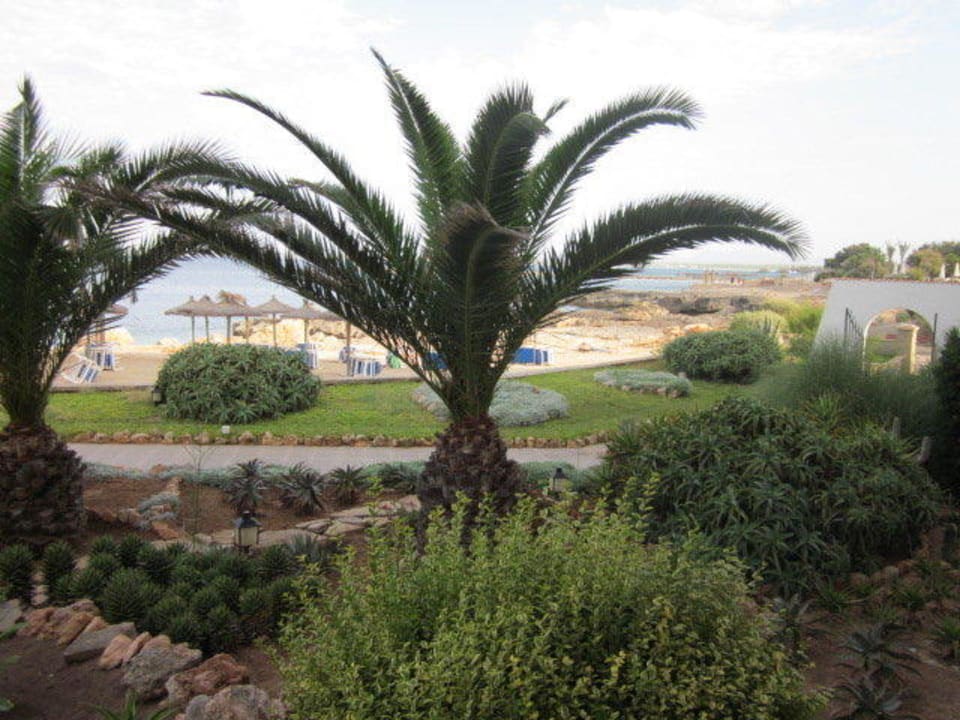 Ausblick aufs Meer Universal Hotel Cabo Blanco - Adults Only