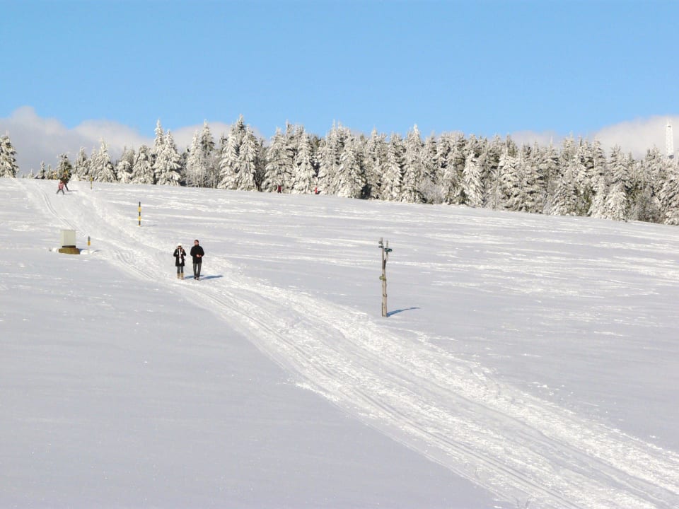 Vom Zimmer Hotel Berggasthof Neues Haus