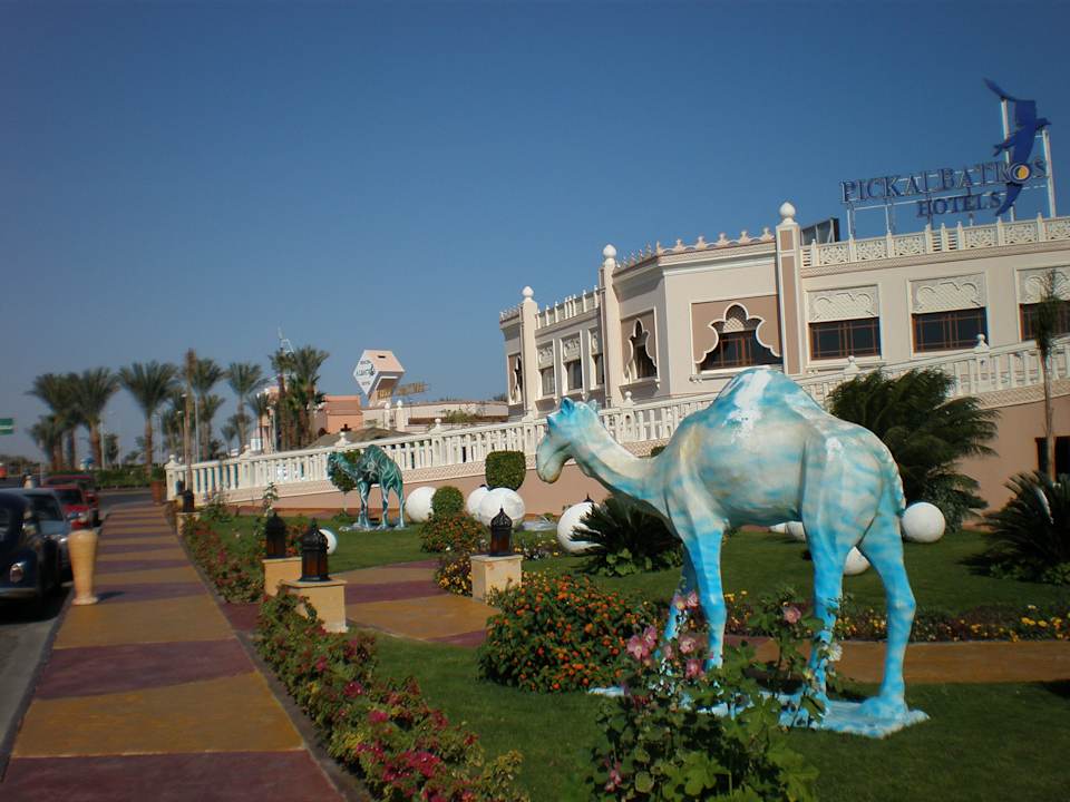 Vorm Hotel Pickalbatros Palace Resort