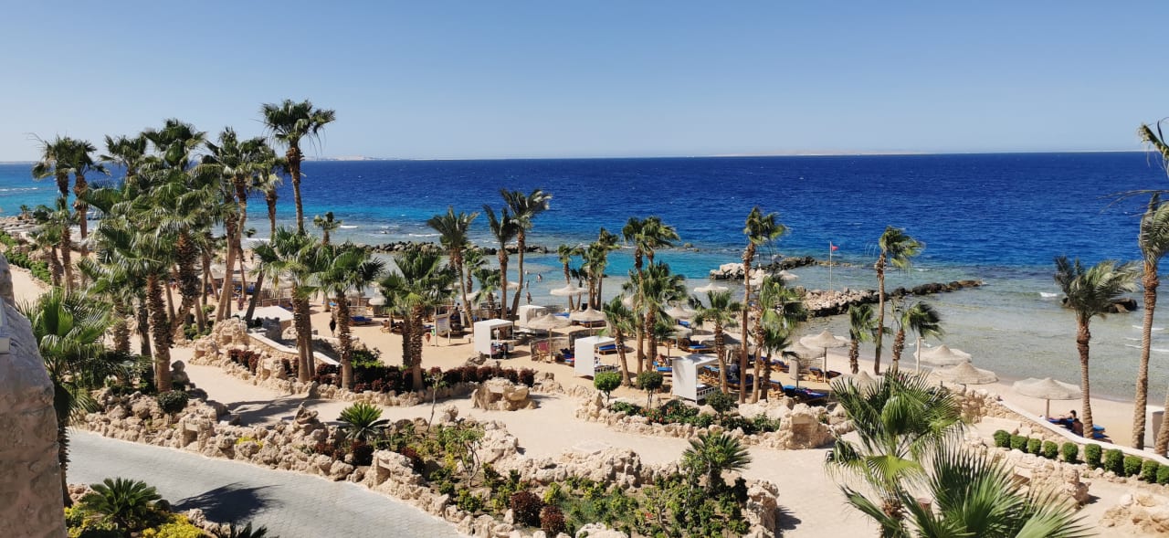 Ausblick Pickalbatros Citadel Resort