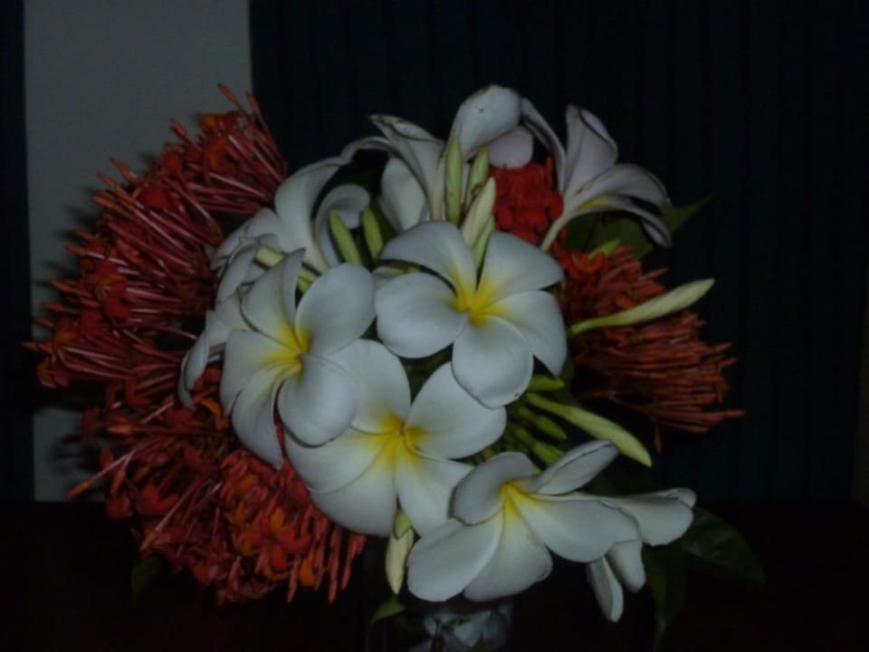 Blumenschmuck Mermaid Hotel & Club