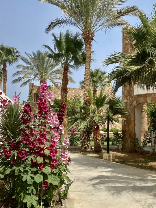 Gartenanlage Brayka Bay Resort