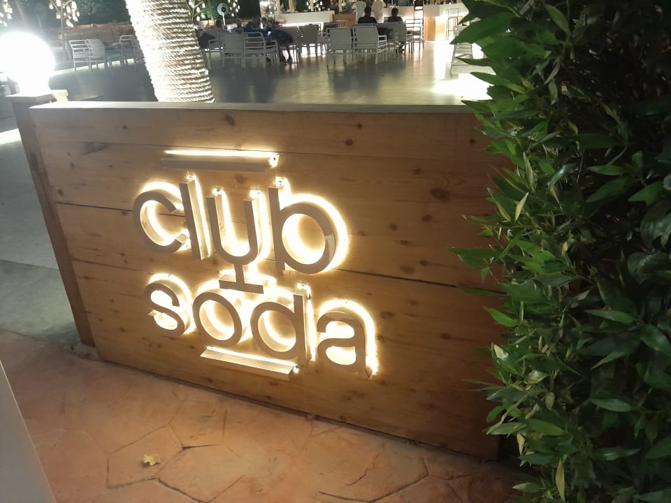 Sonstiges Desert Rose