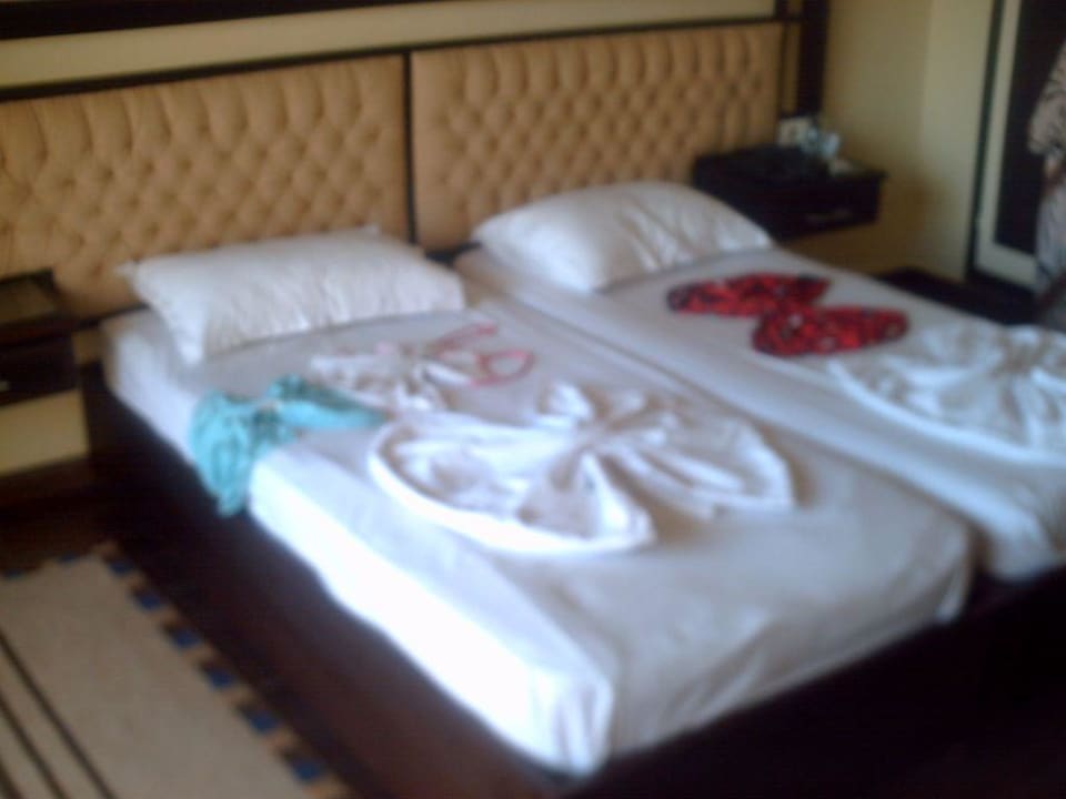 Zimmer Hotel Paradis Palace