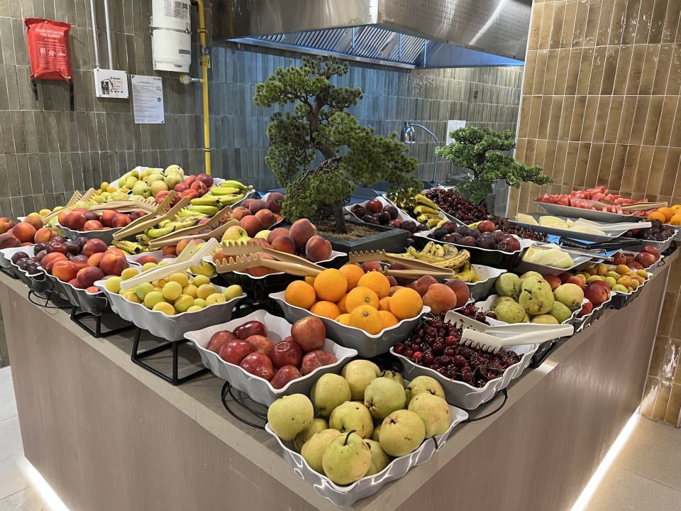 Gastro Arycanda Kirman Premium