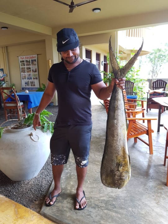 Hammerfisch beim Grillabend Villa Lucky Star