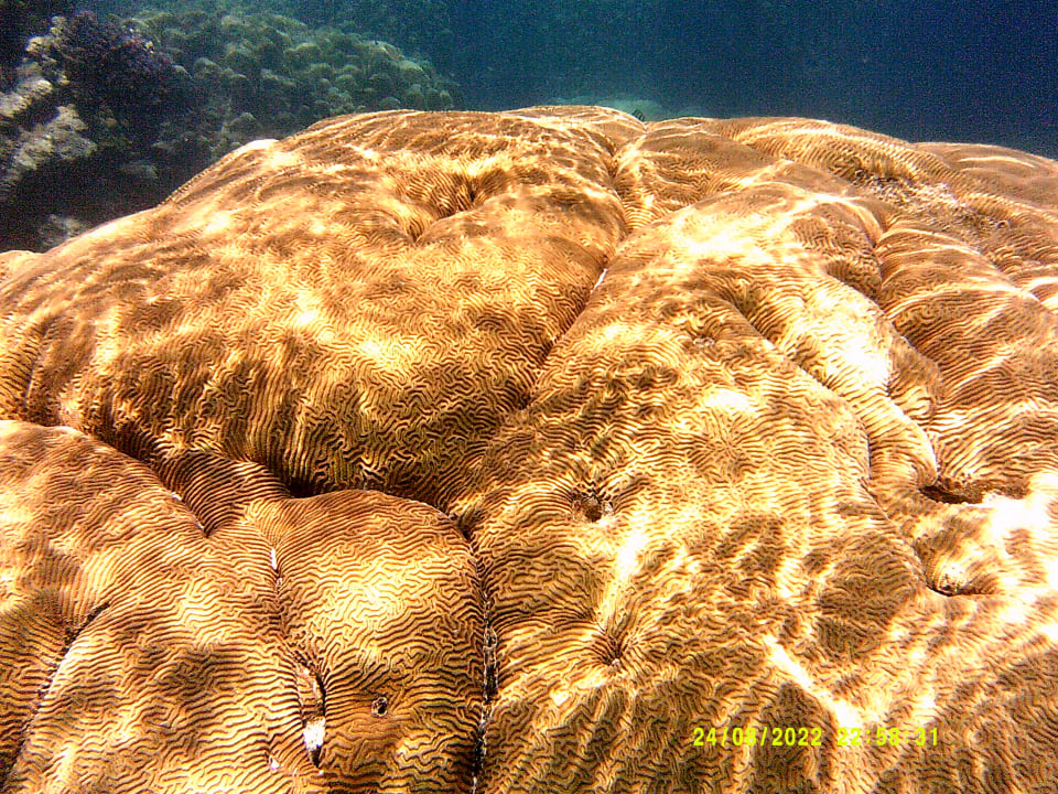 Sport & Freizeit Shams Alam Beach Resort