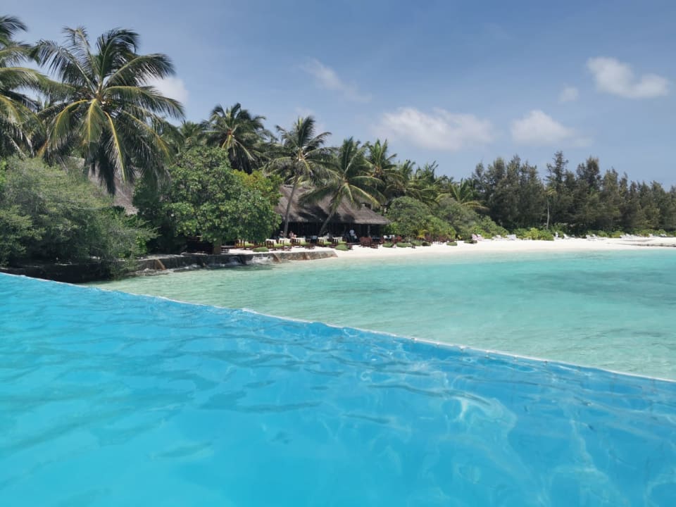Pool Summer Island Maldives