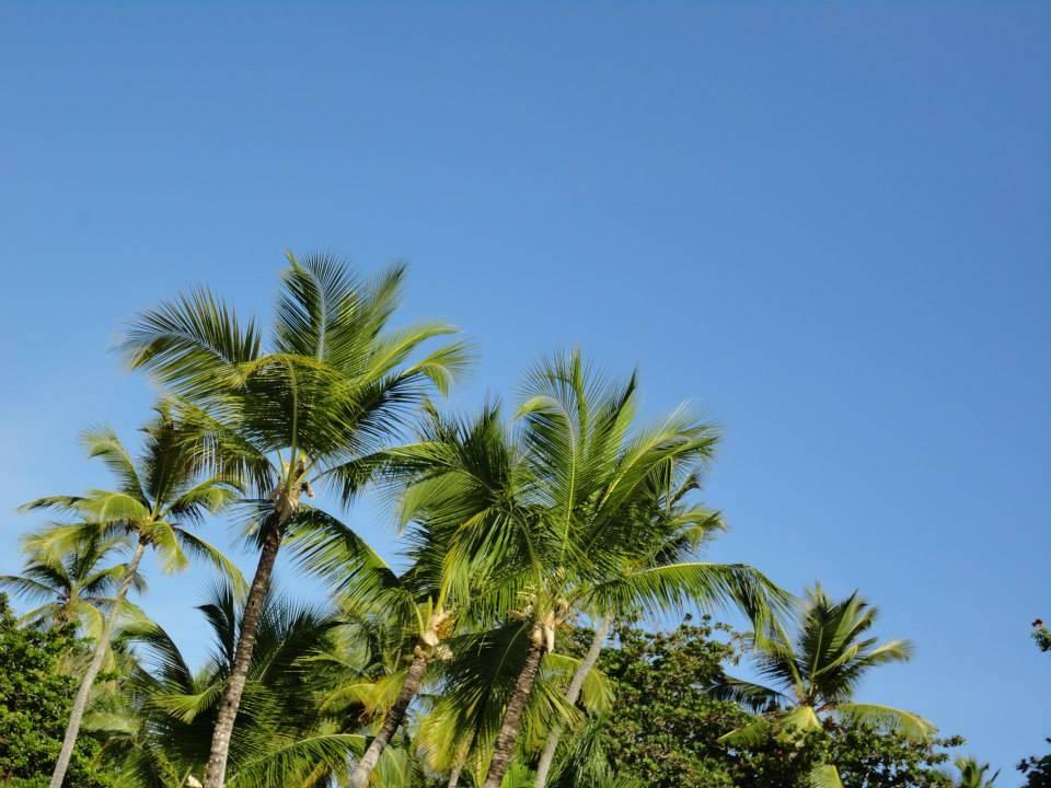 Sicht von der Poolbar Grand Palladium Select Bávaro Resort & Spa