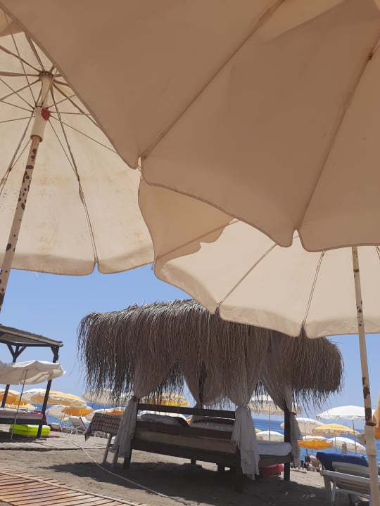 Strand Kleopatra Celine Hotel