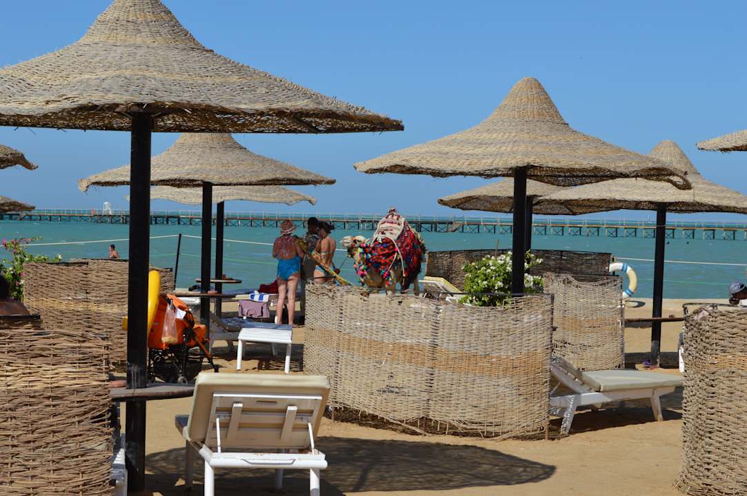 Пытались бесплатно сфотографировать верблюда) Le Jardin Aqua Park Resort