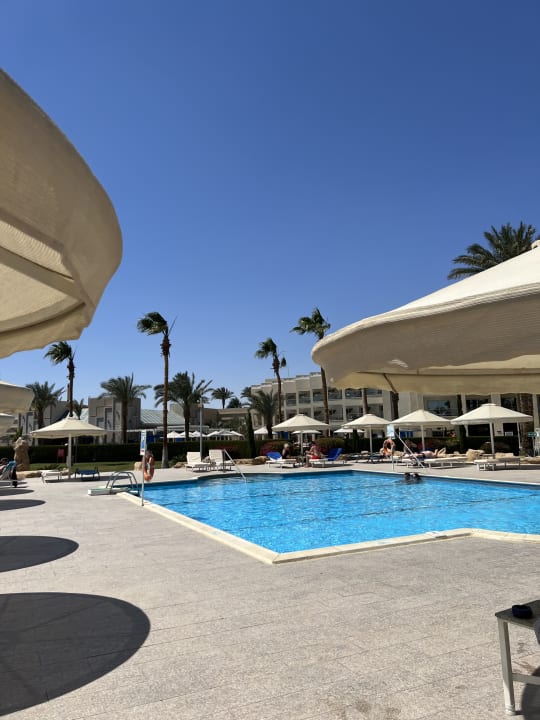 Pool Beach Albatros Resort