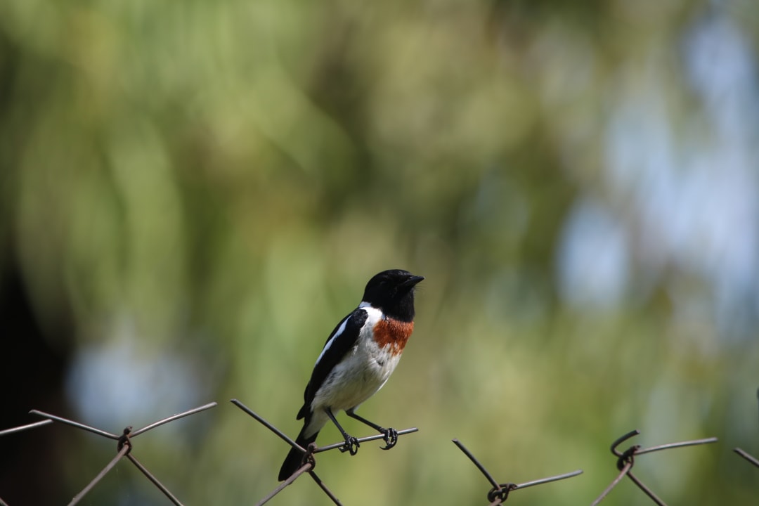 Gartenanlage Palm Garden Lodge