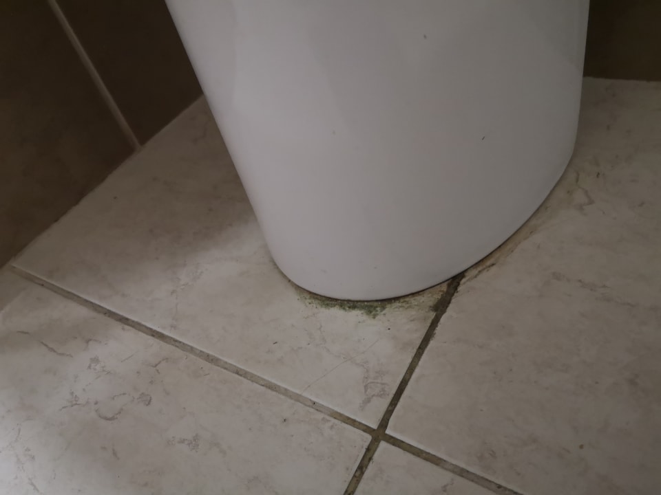 Zimmer Hotel Orfeus Park